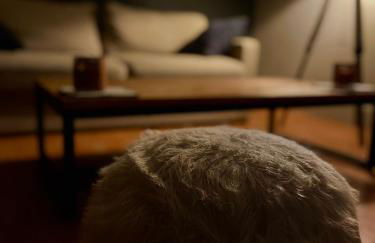 Nid des lumières - Foto 4