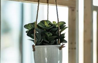 La Butte : Bol d'air iodé assuré - Foto 20