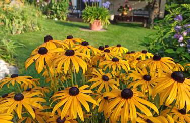 Ferienhaus Liwi - Foto 12