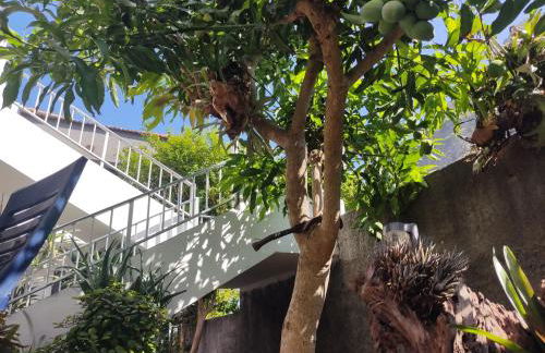 Peaceful place in São Vicente - Foto 41