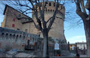 La Mimosa - Photo 28