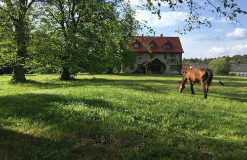 Polanka Agroturystyka i Konie - Foto 1