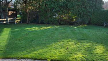 Ferienhaus Yanic - Photo 3, Garden, Garden view