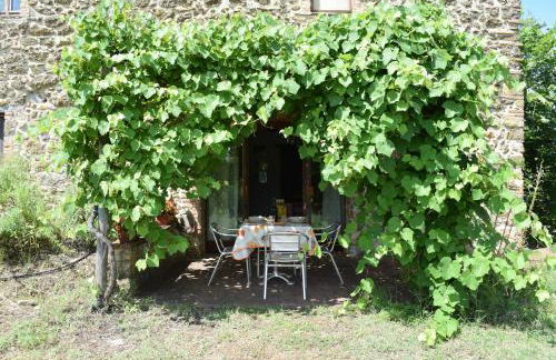 Sport Bikes and Nature - Foto 33