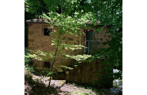 Il Gallinaio, Vivo D'Orcia - Foto 16