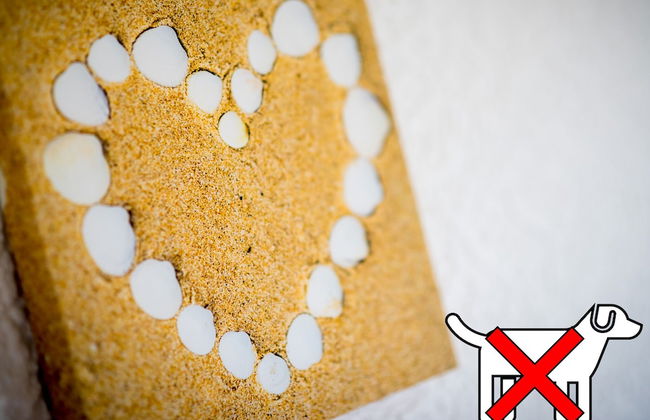 St. Tinney Farm - Photo 45