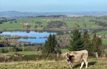 Moderne, 1-Zimmer Ferienwohnung mit Bergblick - Foto 22