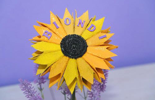 Apartments Biondi - Photo 9