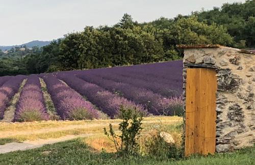Mas du 18e siècle au calme entouré de champs de lavandes - Foto 16