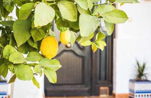 Private villa large pool elevated quiet secluded location, near Mojacar - Foto 32