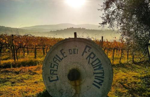 Agriturismo Casale dei Frontini - Photo 19