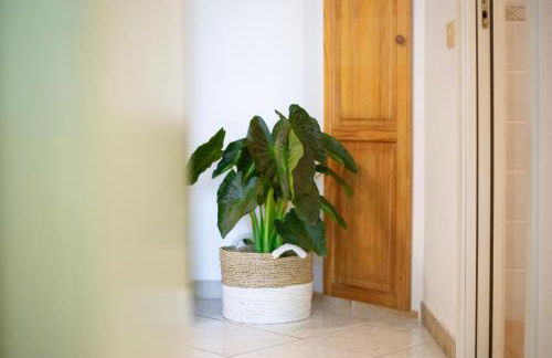 Casa Vacanze Lentisco by ElbaSummer - Foto 22