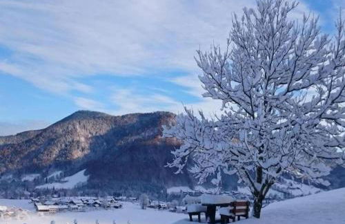 Ferienwohnung in den Ruhpoldinger Bergen - Foto 43