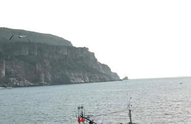 Casa Dora Gold by SesimbraSunSea - Foto 37