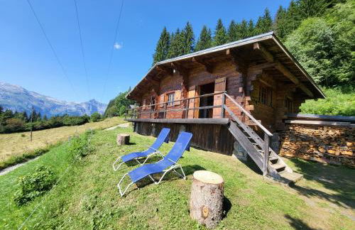 Chalet d'alpage avec vue incroyable - Foto 1