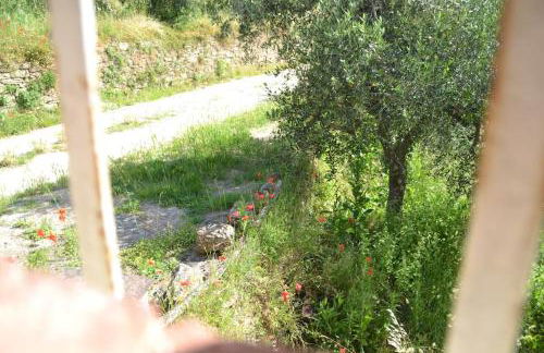 Il Rustico Vicopisano - Foto 22