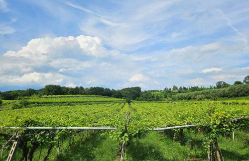 A Garda Dream Luxury Apartments - Foto 58