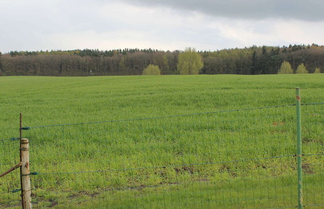 Sunny Holiday Home With Fenced Garden - Foto 25