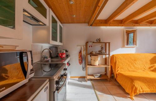 Résidence Grand Roc - Ancolies 017 - Happy Rentals - Foto 12