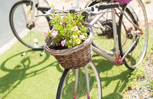 Villa Sunrise - Foto 37