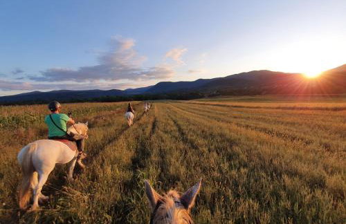 Studio apartments Kaya - Foto 55