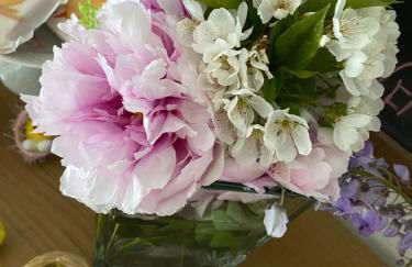 L'Albero della Vita - Foto 14