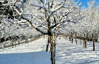 Ca' Domani - Appartamento immerso nel Cadore - Photo 26