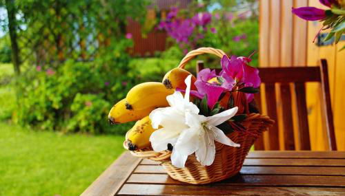 Bungalow São Miguel near Vila Franca Beach - Photo 2, Other