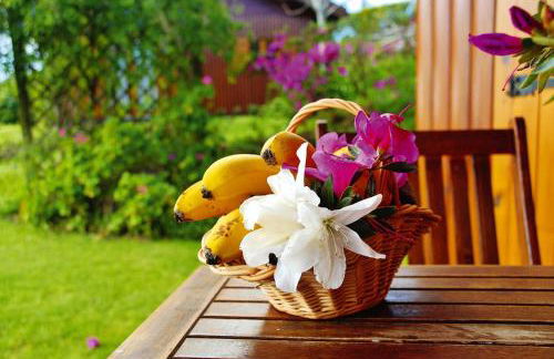 Bungalow São Miguel near Vila Franca Beach - Photo 2