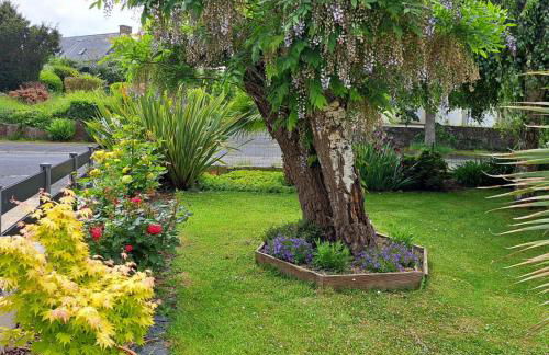 Ty Colibri Lannion - Foto 22