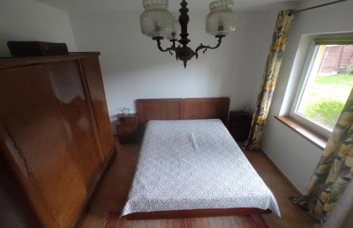 Biały Dzik Uszyszek - Foto 10