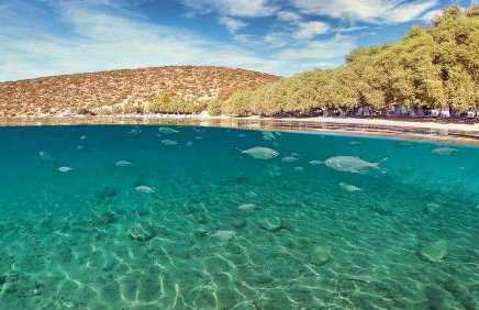 Arilena Studios - Photo 30