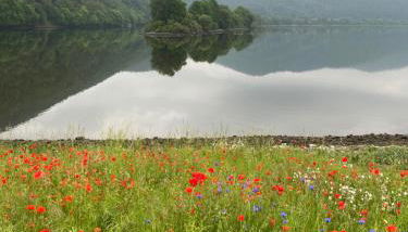 Fewo Seeresidenz auf Scheid - Foto 2