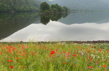 Fewo Seeresidenz auf Scheid - Foto 2