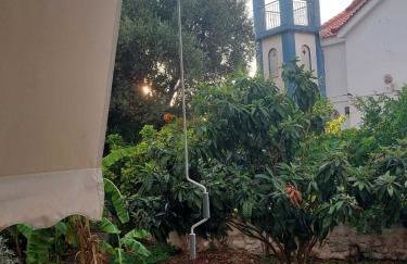 Vitamin sea Studio - Foto 51