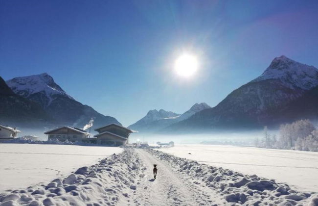 Superior Chalet mit 4 Schlafzimmern & Wellness - Foto 37