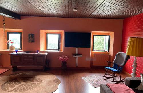 Große Ferienwohnung Hundertwasser am Dreisessel in Altreichenau - Foto 13