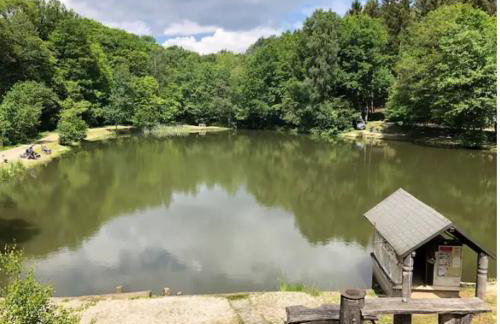 Rustikale Wanderhütte am Angelteich - Foto 4