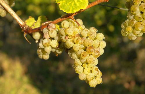 Gästehaus Sehl - Foto 26