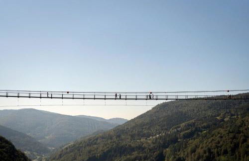 Schwarzwaldhaus Todtnau - Foto 79