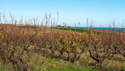 Casa di Nonna Linda - Foto 4