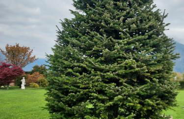 Agriturismo Coi de Pera - Foto 14