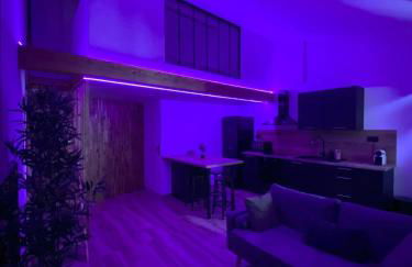 Appart Mezzanine, Centre-ville - Foto 19