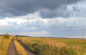 W Szczerym Polu - Foto 21