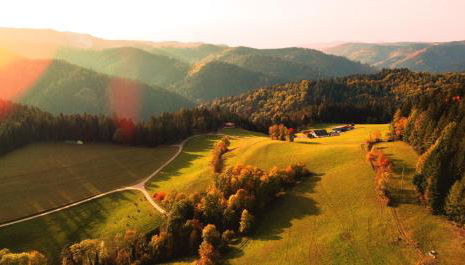 Hansjörgenhof Bioland-Hof - Foto 3
