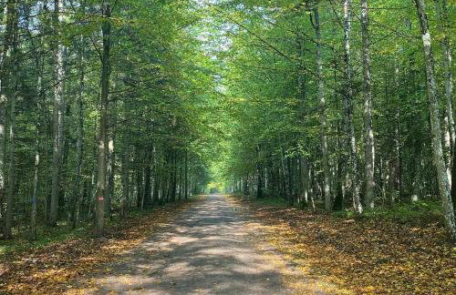 Apartament Nieznany Bór - Foto 30