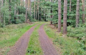 Holiday Home Itzinger by Interhome - Foto 34