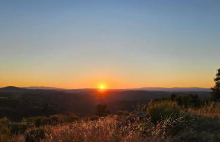 Casa Sardinha - Foto 56