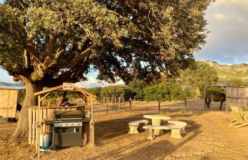 Les Chalets de Tesa - Foto 56
