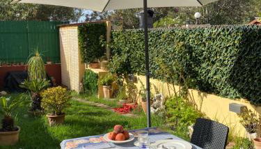 Casa Robi - Foto 3, Garden